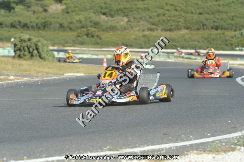 DSC (4084).JPG
